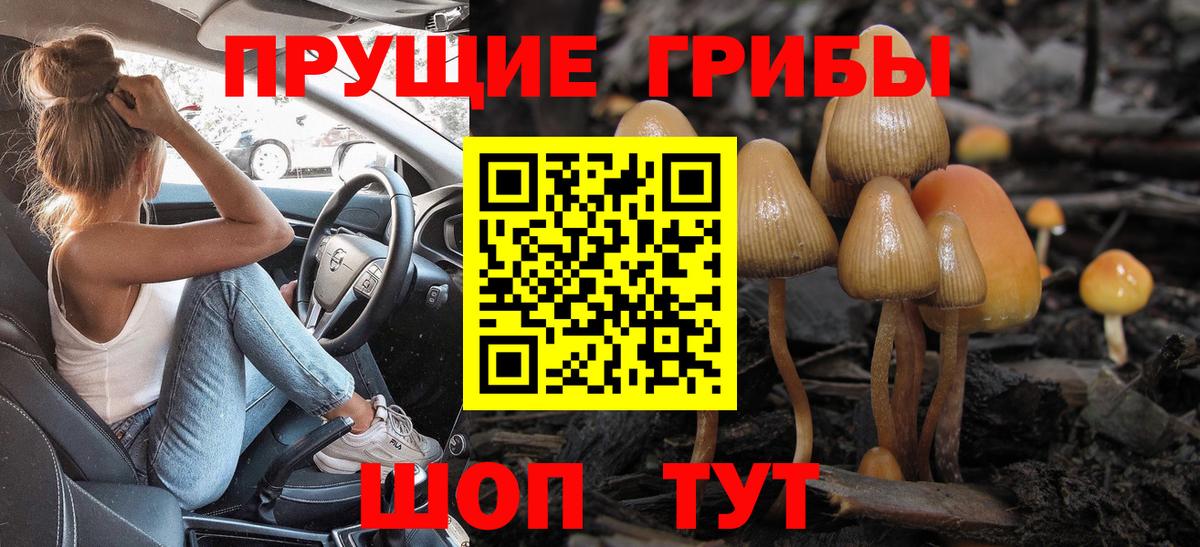 Гурьевск  Псилоцибиновые грибы мицелий  купить   Галлюциногенные грибы Magic Shrooms  Вход с VPN 